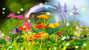 foto 09 10 2020 08 46