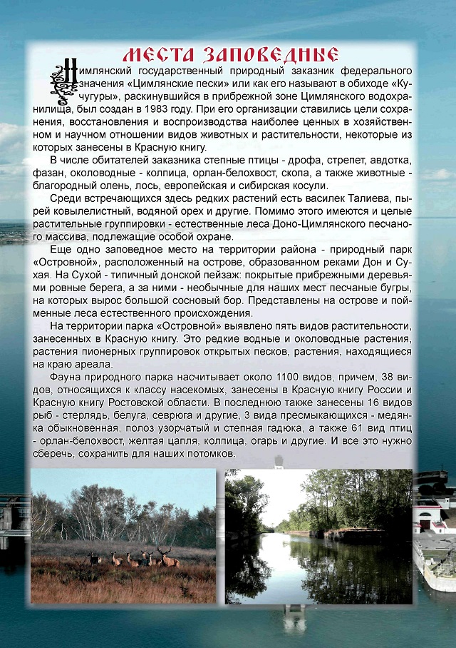 foto 13 11 2020 08 38 4