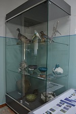 foto 2020 09 02 09 51 4