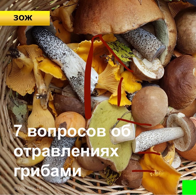 foto 19 07 2022 09 55