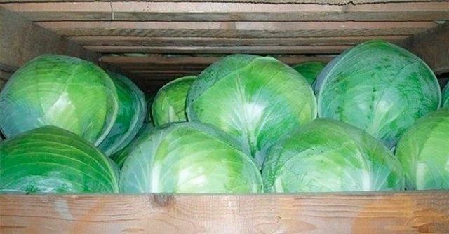 foto 24 10 2022 10 34