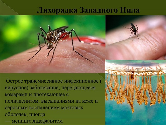 image 2023 09 19 1