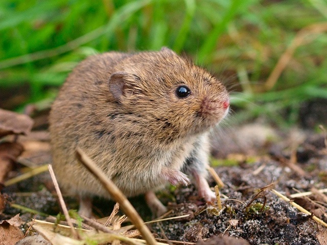 image 2023 09 21 1