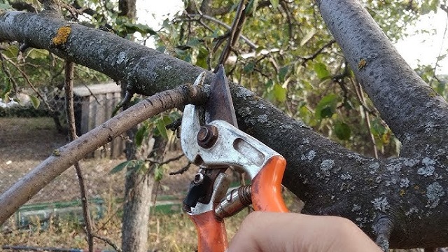 foto 2023 09 26 11 31