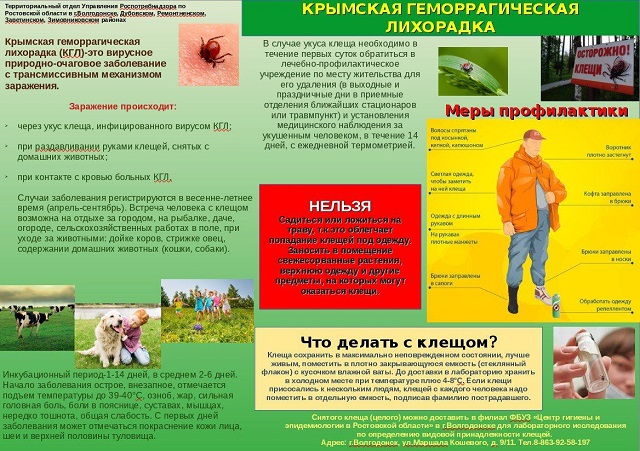 foto 01 06 2023 15 41 1