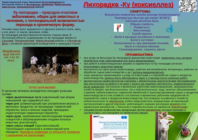 foto 01 06 2023 15 41 2