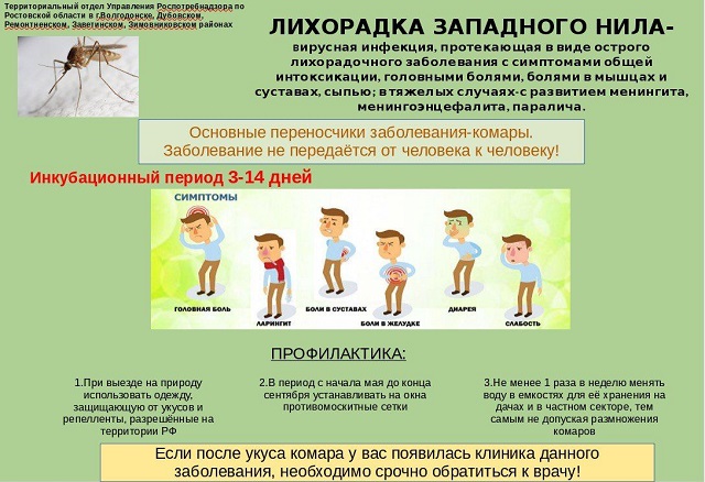 foto 01 06 2023 15 41 3