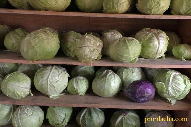foto 2023 11 09 09 48