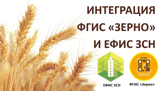 foto 2023 11 09 15 25