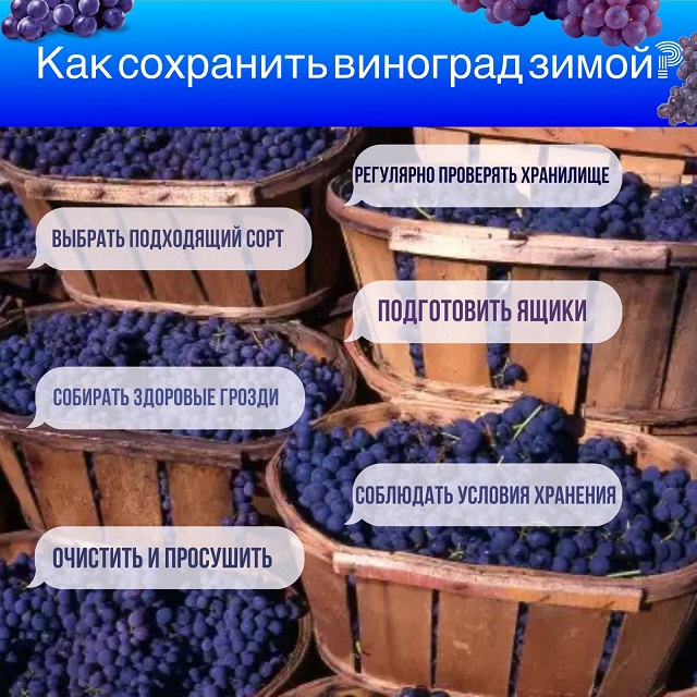 foto 2023 11 20 11 27
