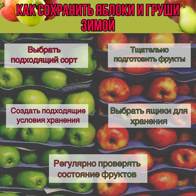 foto 2023 12 08 11 30