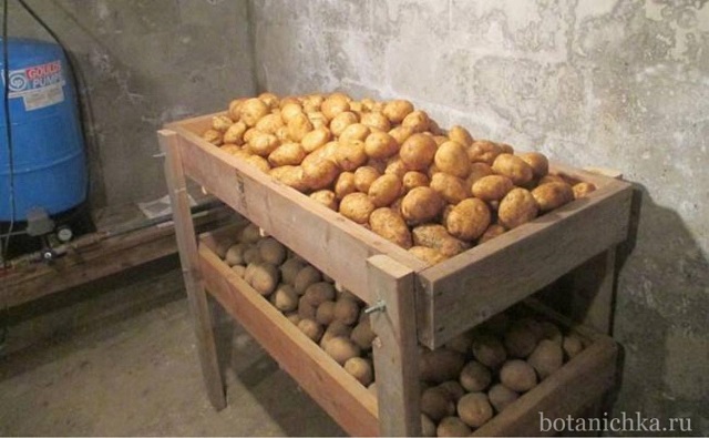 foto 2023 12 15 10 00