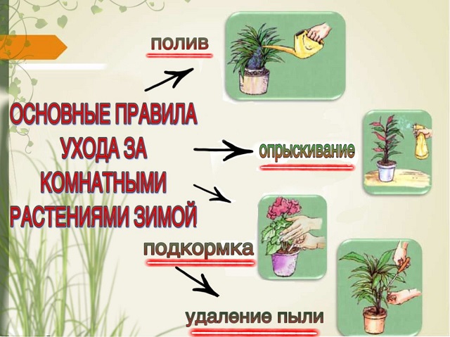 foto 2023 12 21 09 03