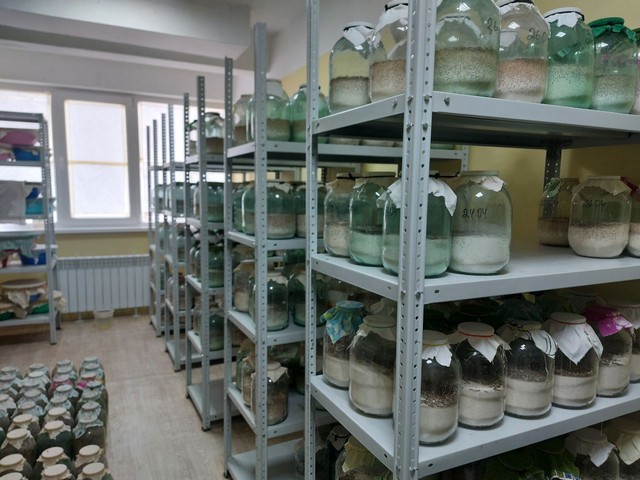 foto 2024 02 08 17 50 1